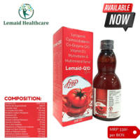 LEMAID-Q10
