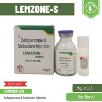 LEMZONE-S