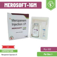 MEROSOFT-1GM