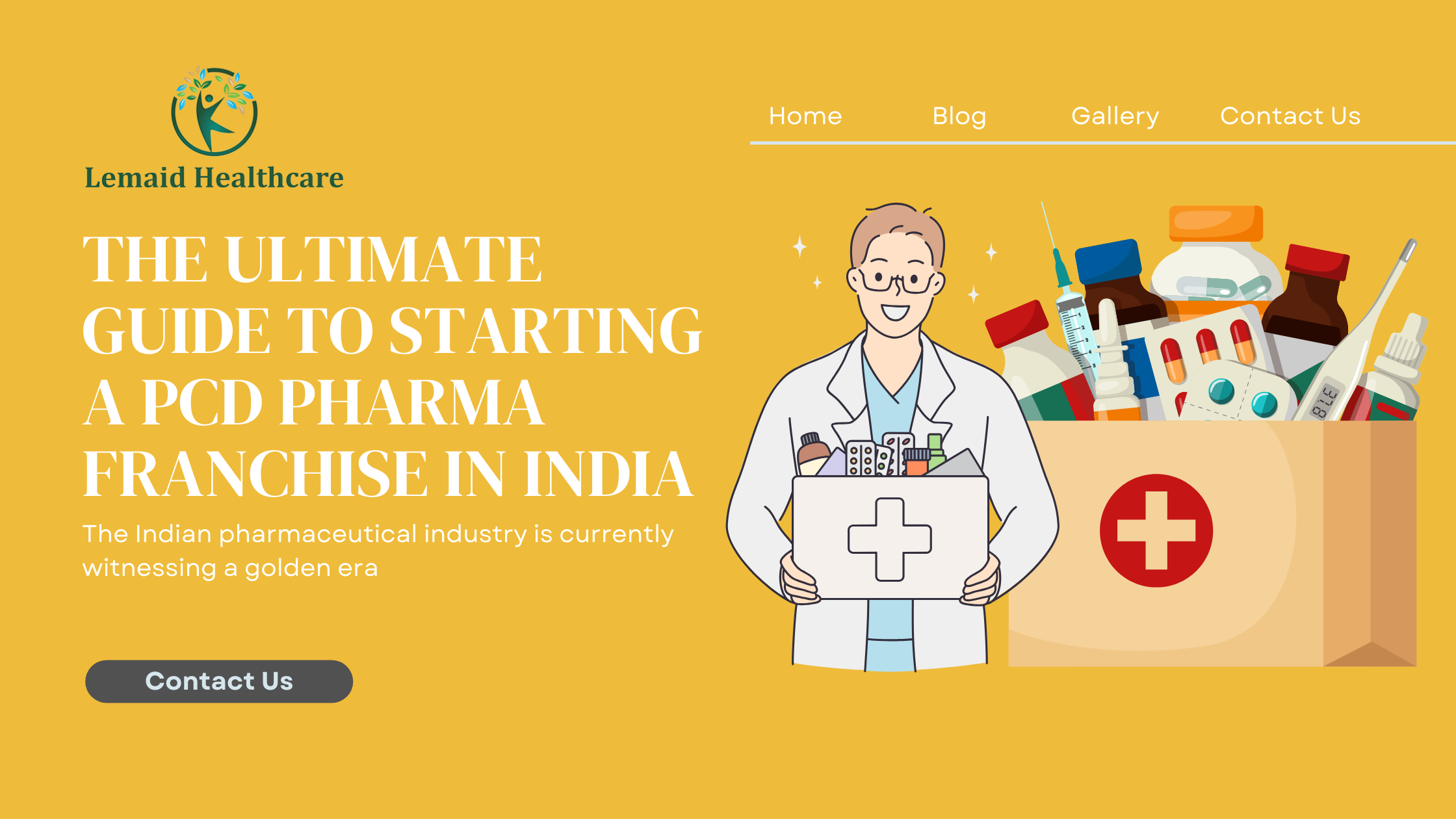 The Ultimate Guide to Starting a PCD Pharma Franchise in India