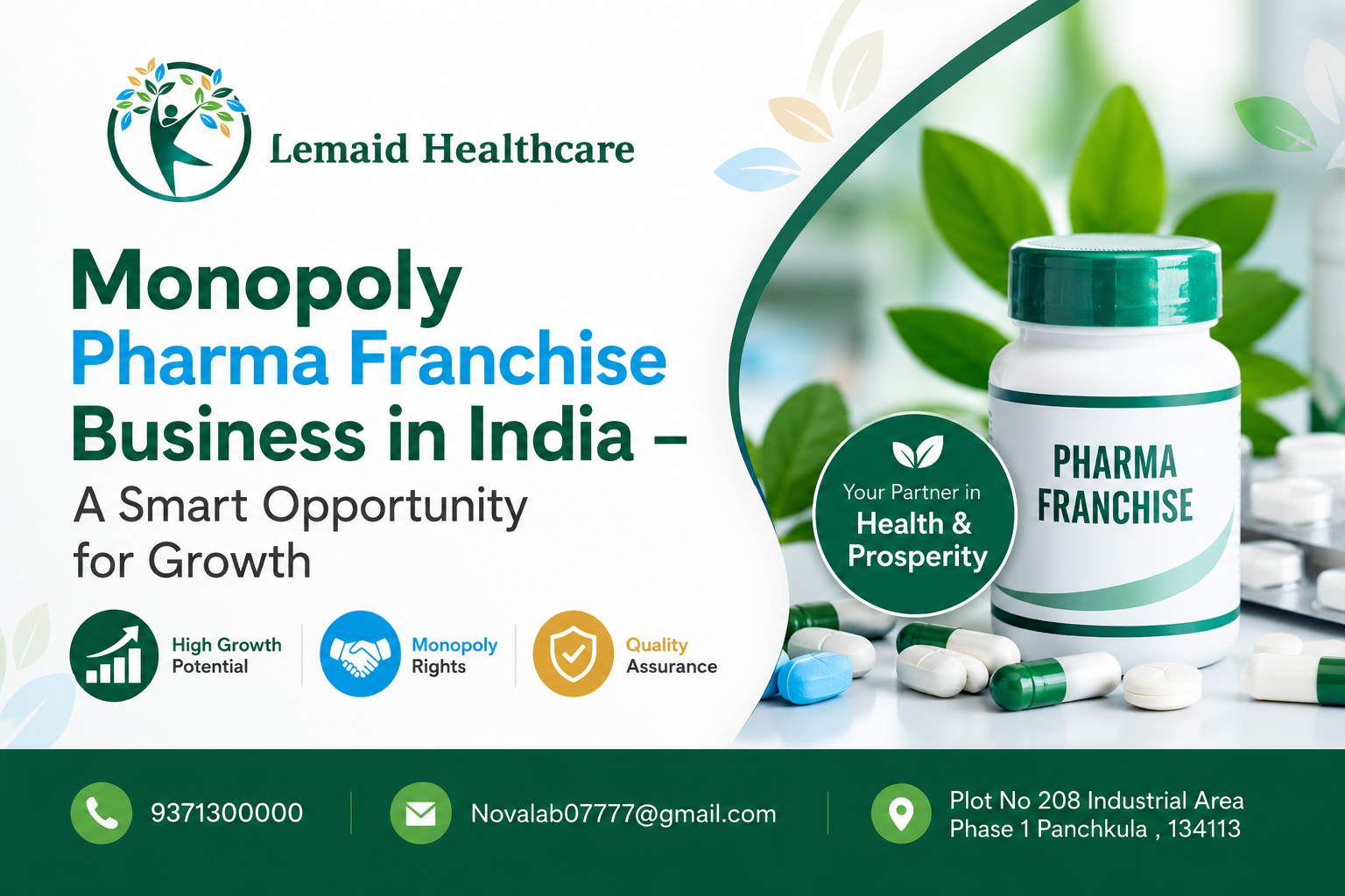 Monopoly Pharma Franchise Business in India – A Smart Opportunity for Growth
