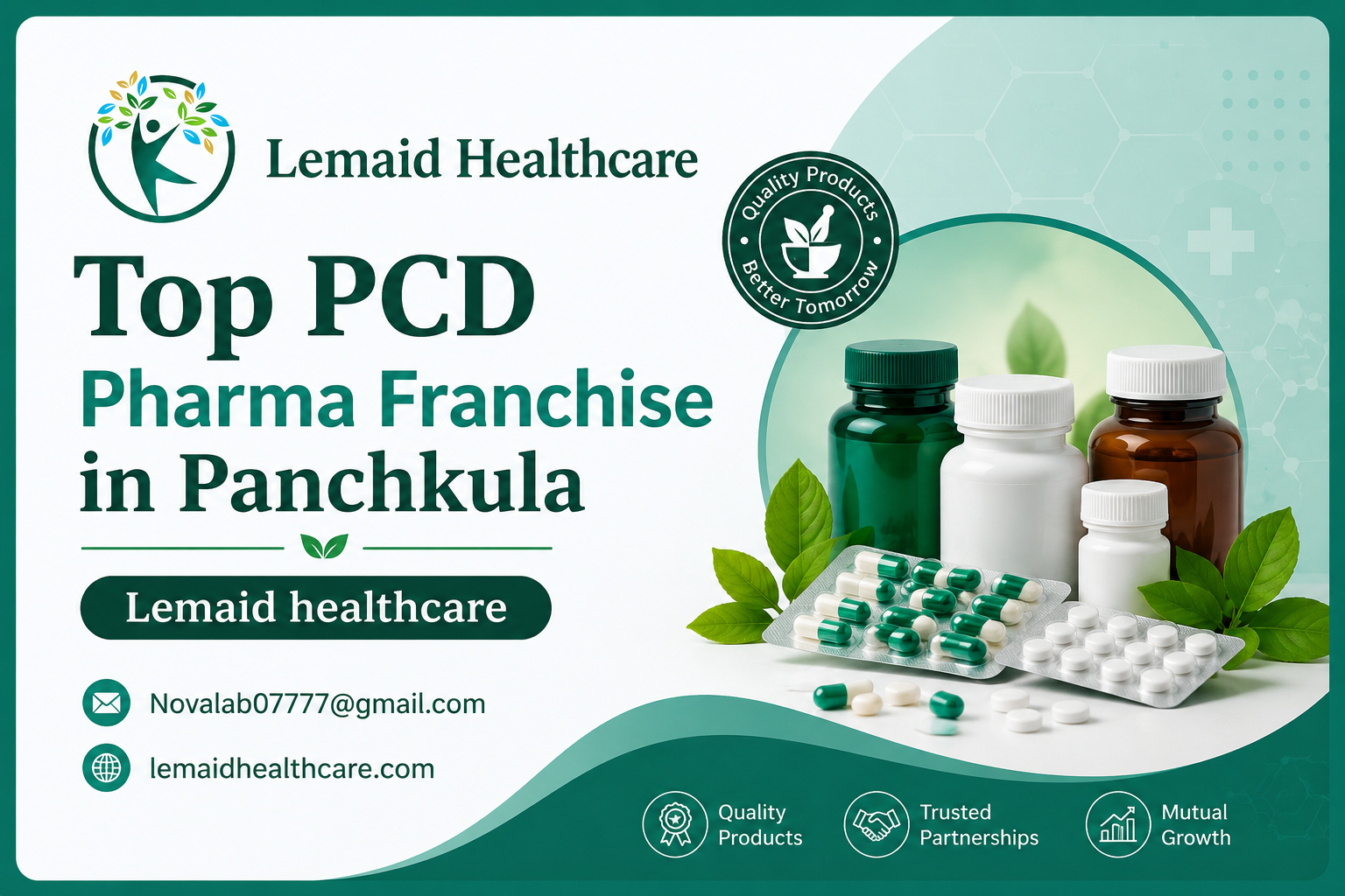 Top PCD Pharma Franchise in Panchkula: Why Lemaid Healthcare Is a Trusted Choice for Pharma Entrepreneurs